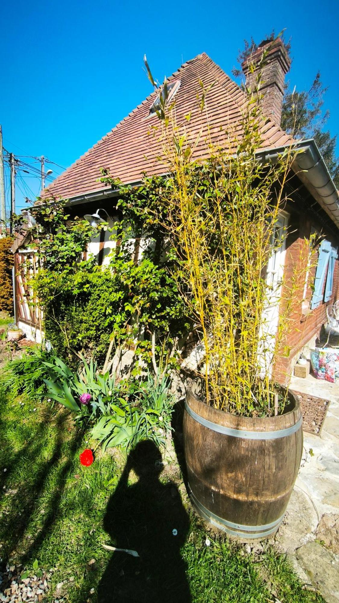 La Longere D'Auberville Exteriör bild